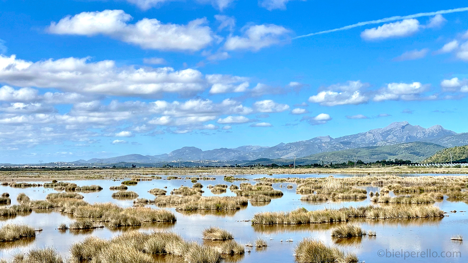 Imatge del repositori de S'Albufera – ús protegit
