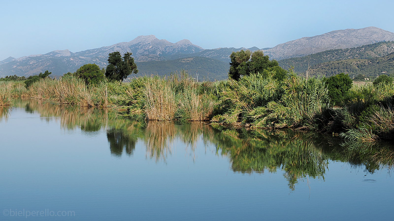 Imatge del repositori de S'Albufera – ús protegit