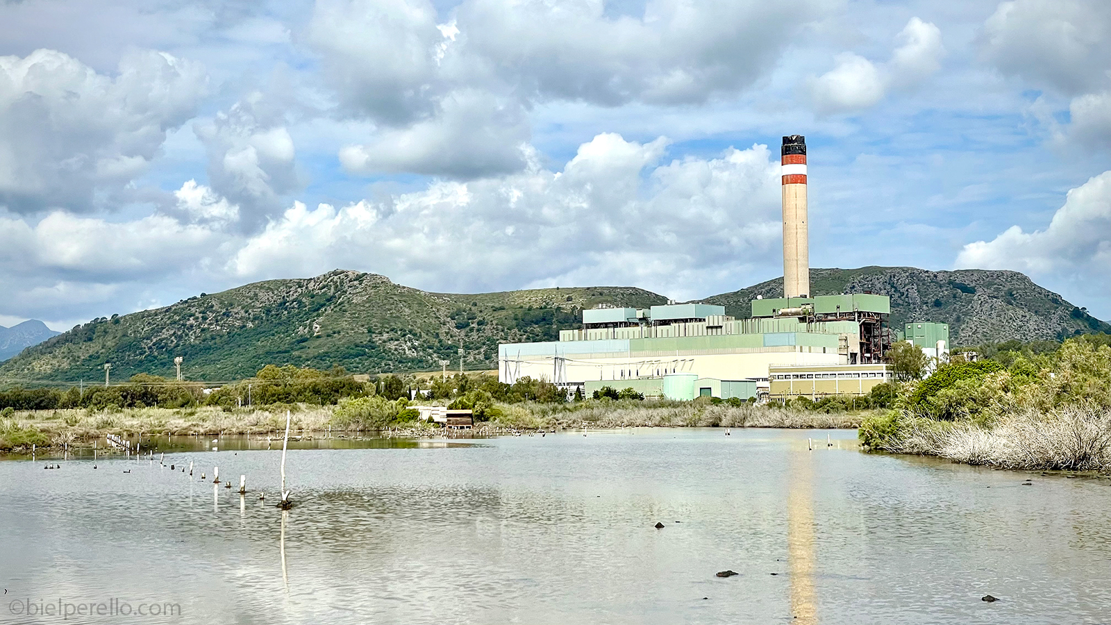 Imatge del repositori de S'Albufera – ús protegit