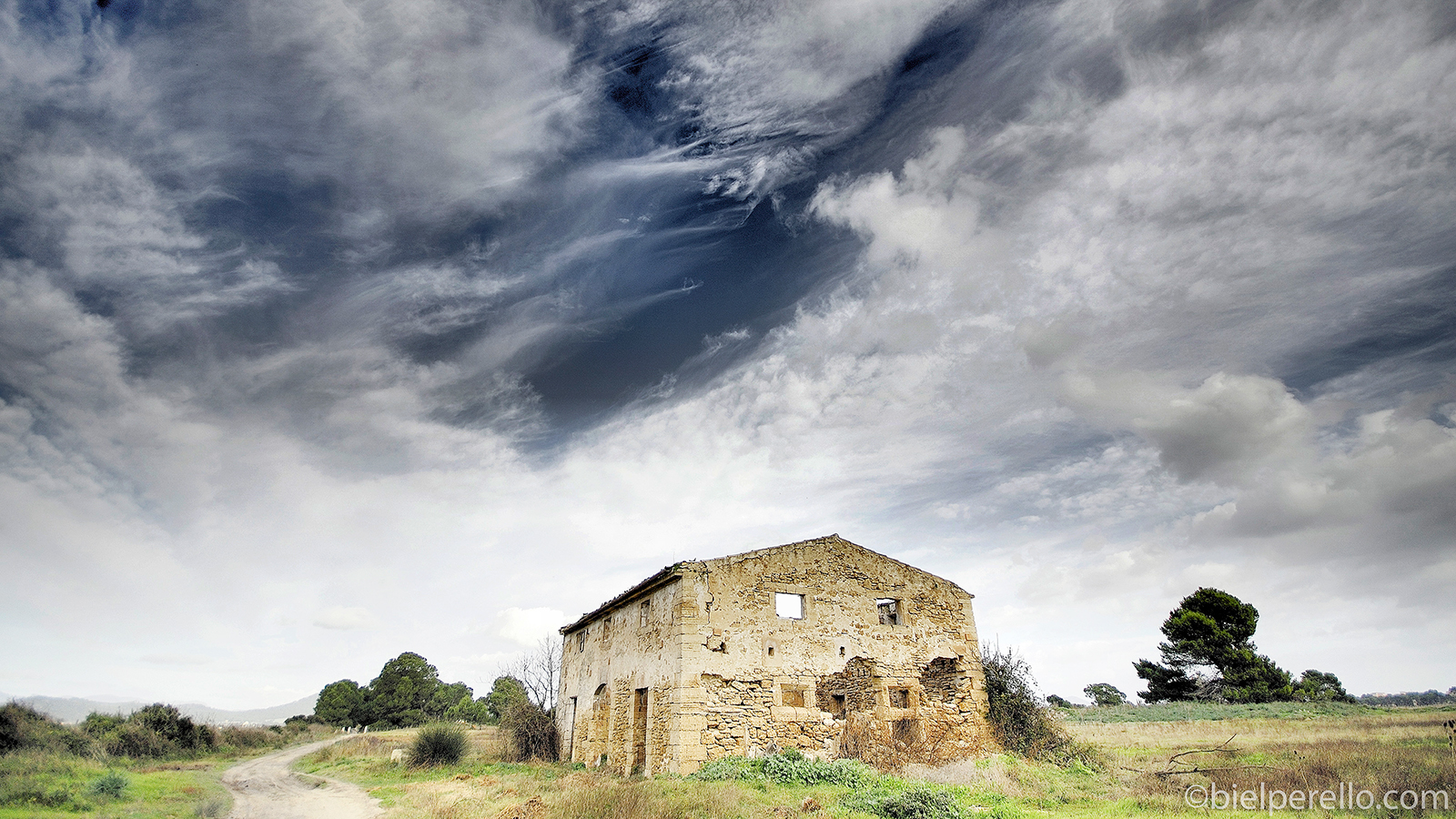 Imatge del repositori de S'Albufera – ús protegit