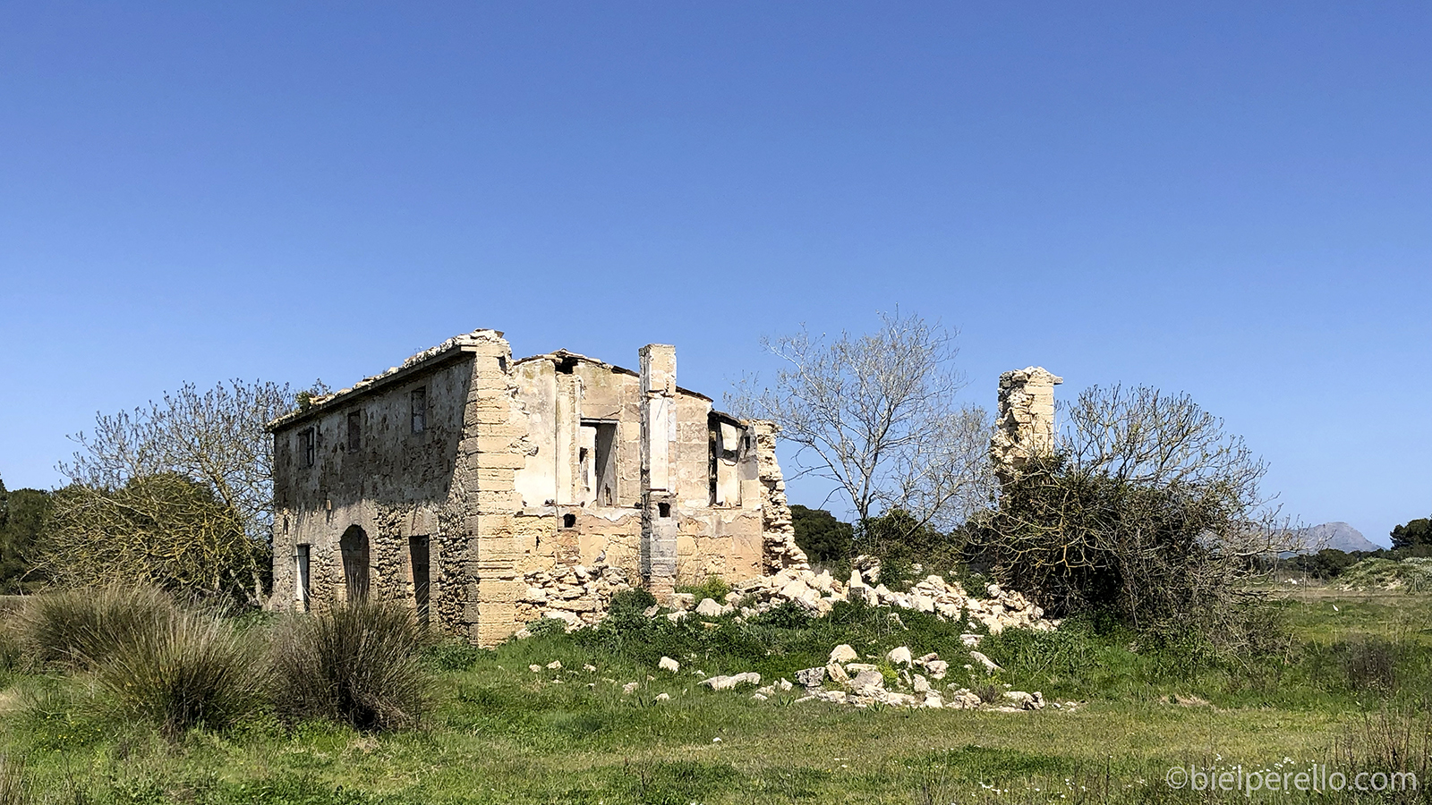 Imatge del repositori de S'Albufera – ús protegit