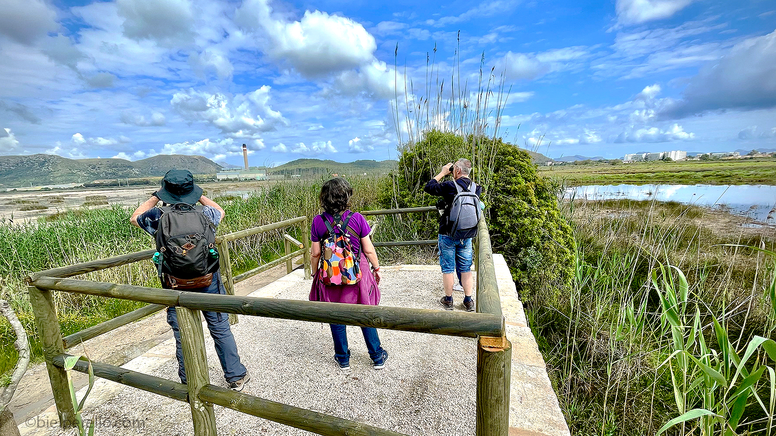 Imatge del repositori de S'Albufera – ús protegit