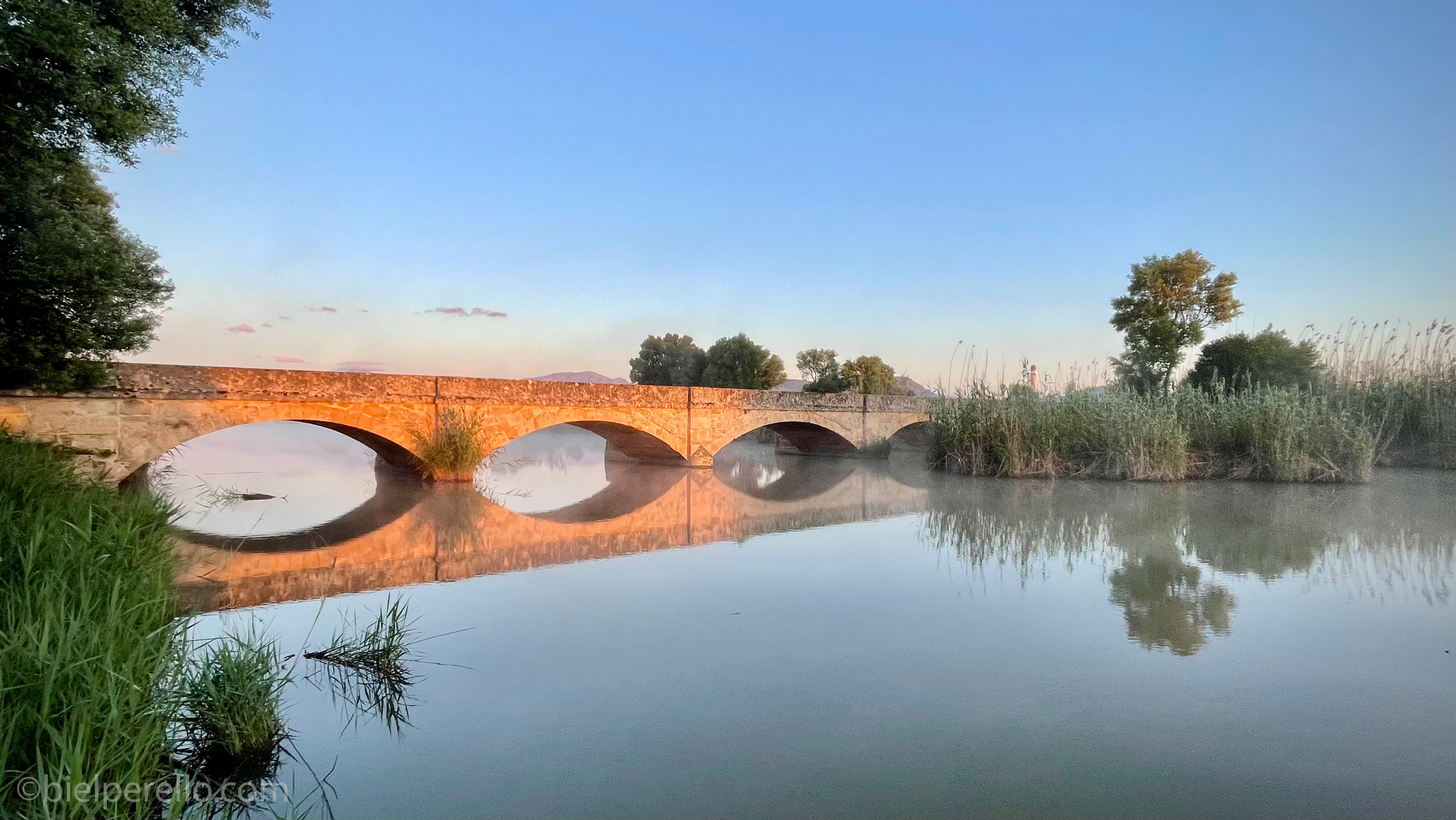 Imatge del repositori de S'Albufera – ús protegit