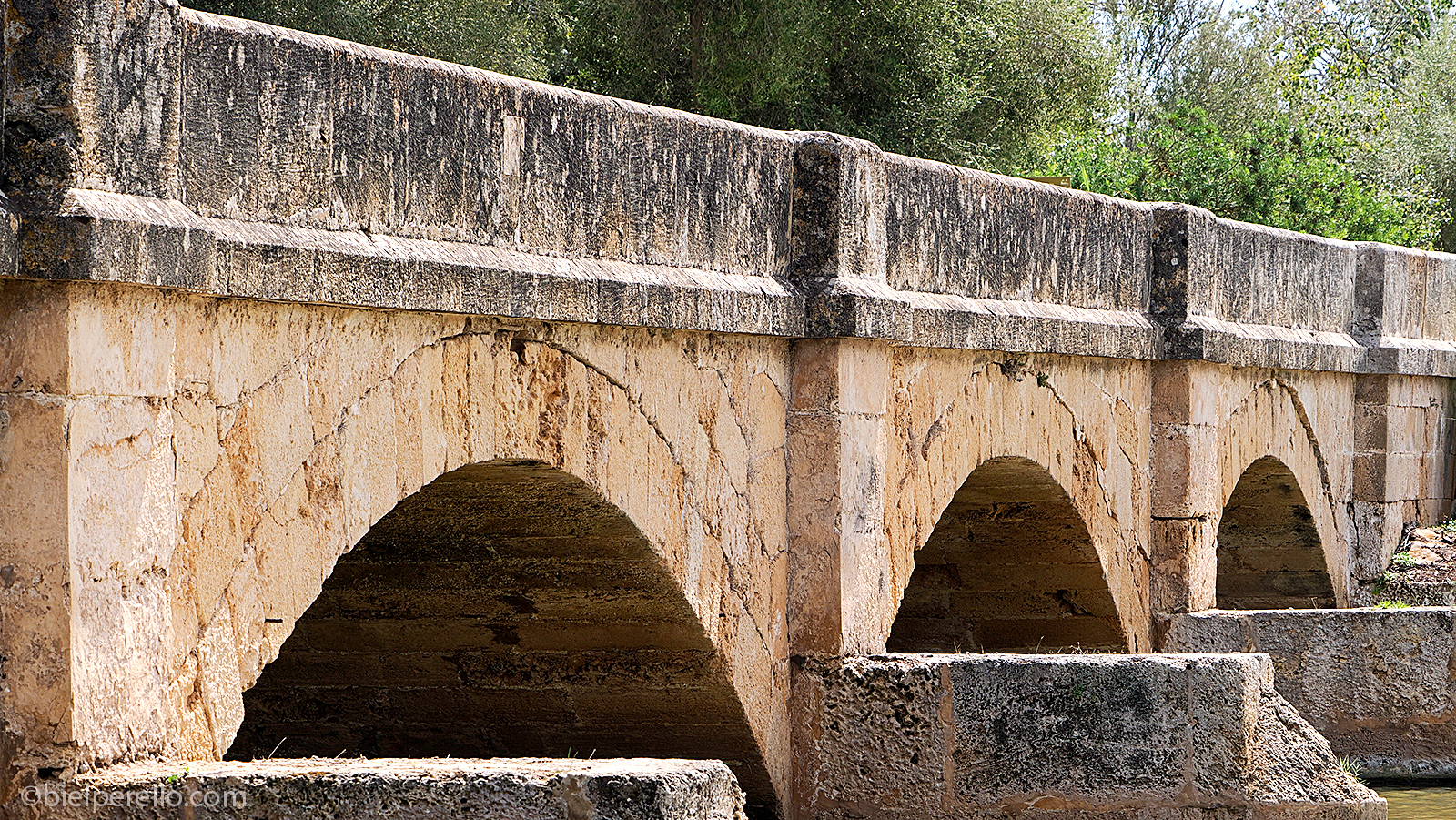 Imatge del repositori de S'Albufera – ús protegit