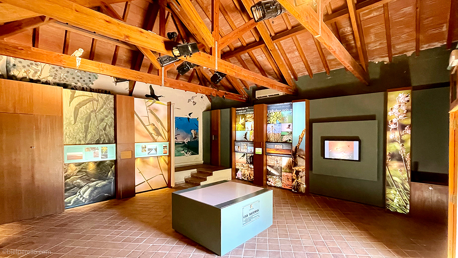 Imatge del repositori de S'Albufera – ús protegit